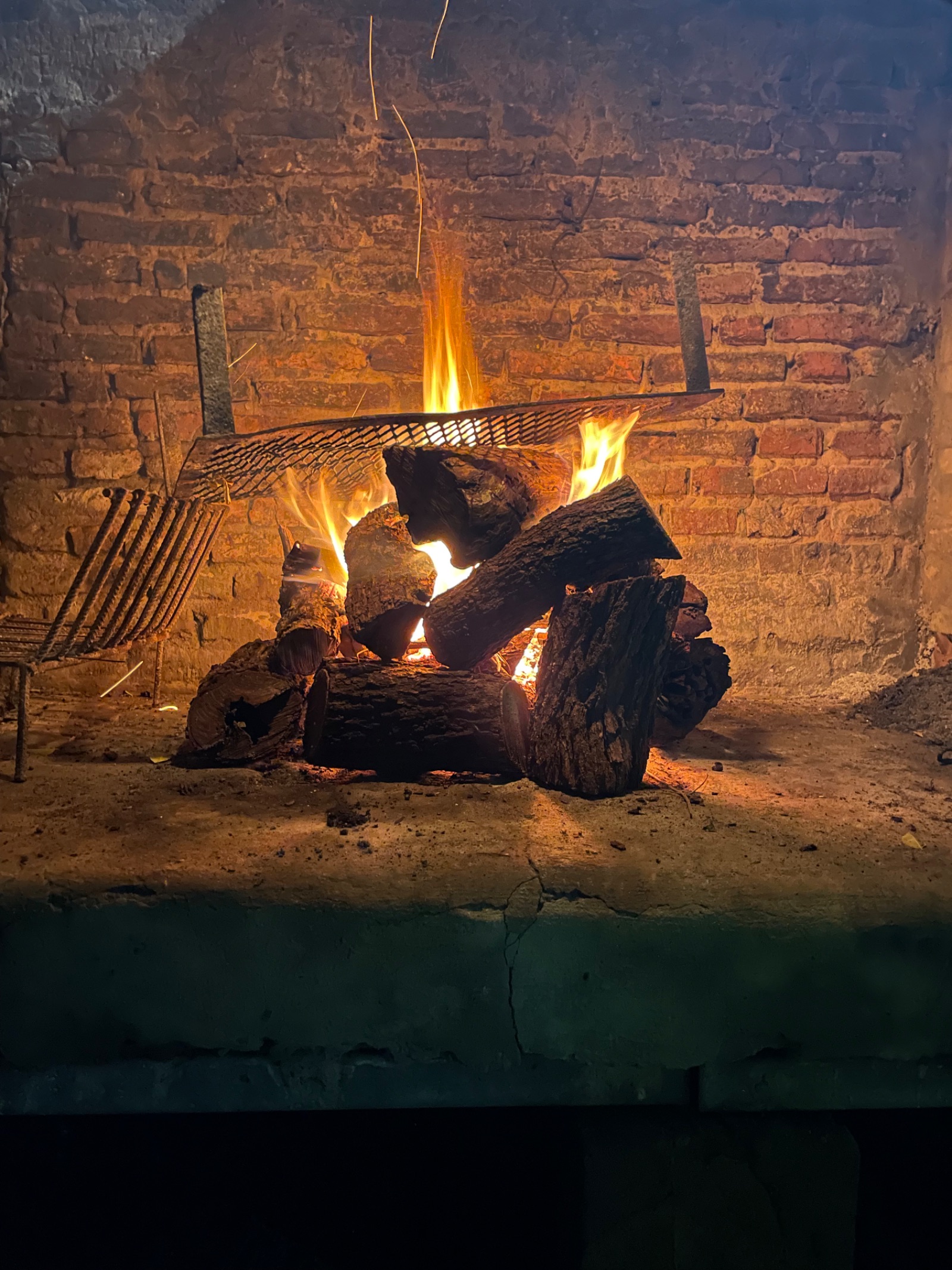 Foto 2 de Asado tradicional Argentino